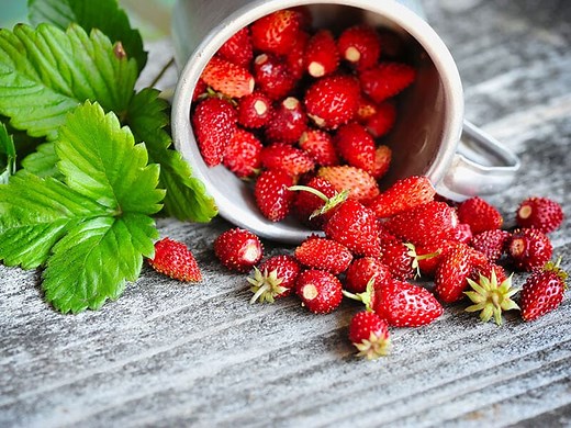 30 Fruits & Vegetables Starting With F: From Fig to Fennel