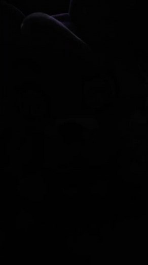 total insecurity....