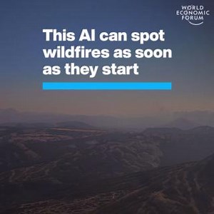 12K views · 94 reactions | This AI can cut wildfire emergency response times from hours to minutes. In 2022, the World Economic Forum co-launched FireAid, a predictive AI wildfire risk map. Learn more: https://ow.ly/LBQH50SAejZ Pano AI | World Economic Forum | Facebook