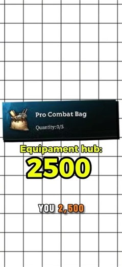 Mistfall Hunter Combat Bags: What They're For