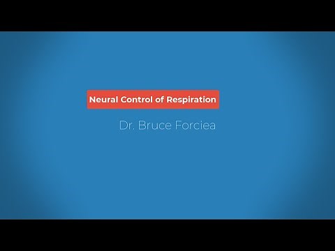 Neural Control of Respiration