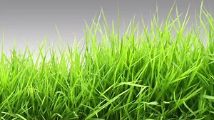 13K views · 57 reactions | Ed Orgeron speaks with Emily Dixon for the "Last Word with Coach O". The Tigers take on the Razorbacks at 11 a.m. Saturday in Tiger Stadium. | LSU Football | Facebook