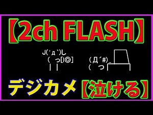 【泣ける2ch FLASH】デジカメ