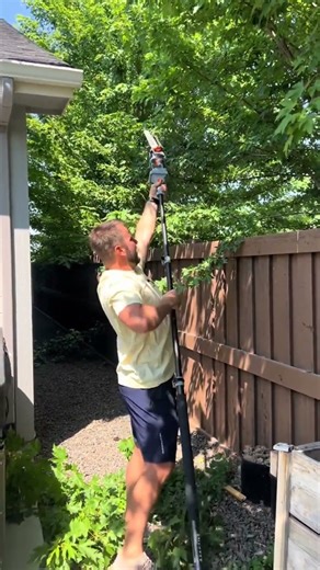 This Mini extendable chainsaw finally allowed me to cut the HOA trees