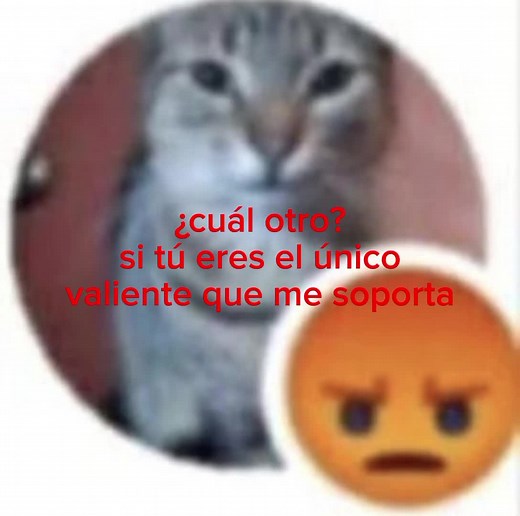 #foryou #textorojo