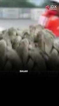 SMDR Siapkan Ekspansi Rp3 Triliun di 2026 | MARKET BUZZ