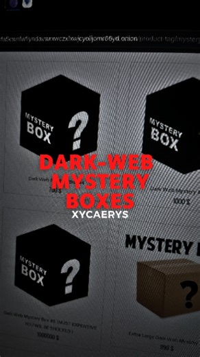 Xycaerys | I always thought, dark web mystery boxes are fake but now it's kinda confusing. Follow to find out. #darkweb | Instagram