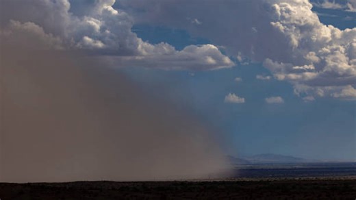 What Is A Haboob: The Dust Storm That Swept Across Arizona