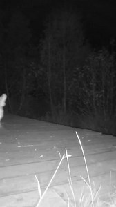 95K views · 2K reactions | Top 10 posts of 2024: Number 3 Mountain...