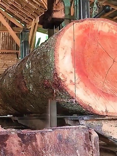 From Forest Trees to Structural Timber Beams for Strong Home Construction 🌲🪵