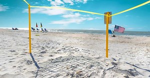 Loggerhead nesting season underway