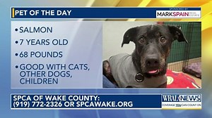 Pet of the Day: July 10, 2025