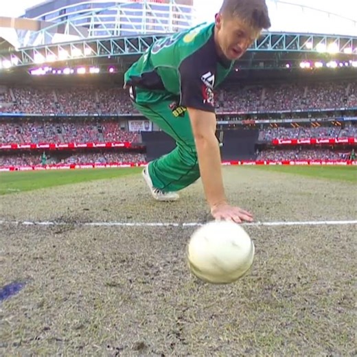 Top 5 Crazy Run Outs In Cricket - Funny Cricket Moments