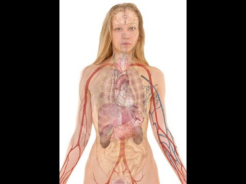 The Science of Stress: Exploring Hans Selye's General Adaptation Syndrome (GAS) Theory