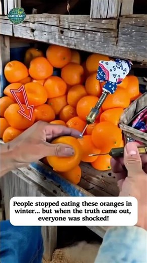 Why These Oranges Don’t Float In Water? The Truth Is Surprising!