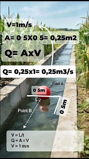 How to measure the flow rate of a canal with a small ball | Easy and technical method #plants #ag...