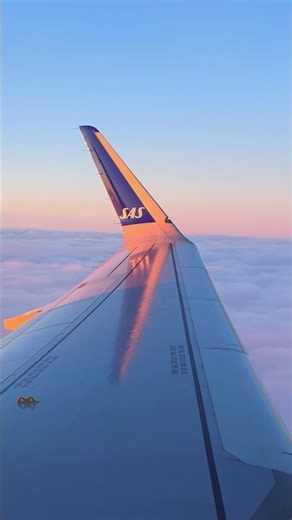 SAS Airbus A320neo | Window‑Seat View En Route to Northern Norway