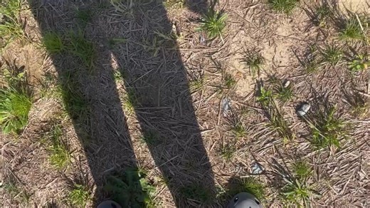  We absolutely LOVE seeing what teachers and students create with WeVideo, like Samantha Lam's class at West Johnston High School. Check out more amazing videos in our student showcase gallery: https://fast.wistia.com/embed/channel/lpm7wel4g2 | WeVideo | Facebook