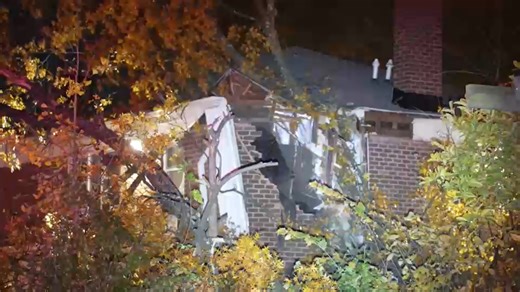 Teen knocked unconscious when wind topples tree onto NJ apartment; trees down across Tri-State