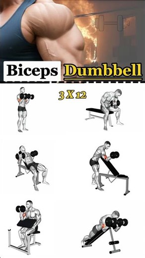 Dumbbell Biceps Workout to Build Bigger Arms Fast #bicepsworkout #homegym #fitnessgains