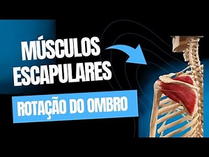 Shoulder Rotation Movements | Rotator Cuff Muscles