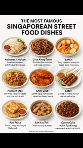 20K views · 109 reactions | THE MOST FAMOUS SINGAPOREAN STREET FOOD DISHES | Chef Jahed | Facebook