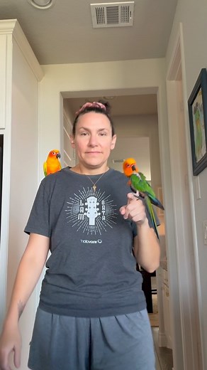 23K views · 420 reactions | What it’s like to prepare breakfast for all 9 of my birds with the help of our two rescues, Fiji and Tiki 李 ☀️Fiji is still looking for his forever home! What I feed - The Seasonal Feeding System chop recipes from @birdtricksofficial #breakfast #birds #sunconure #jenday #birdtricks #parrots | The Green Bird Brigade | Facebook