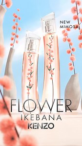 FLOWER IKEBANA MIMOSA, una reinterpretación de una flor alegre y luminosa en un ramo radiante compuesto por un 91% de ingredientes de origen natural. El nuevo Eau de Parfum IKEBANA MIMOSA, una aterciopelada expresión floral del absoluto de Mimosa calentado por un extracto de sésamo dorado. La madera de Hinoki sustenta toda la composición creando una estela elegante y solar. #FLORIKEBANAMIMOSA #FLORBYKENZO #KENZOPARFUMS | KENZO Parfums