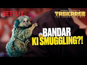 Passenger CAUGHT Smuggling BANNED Monkeys by Customs 🐒👀 | Taskaree: The Smuggler’s Web