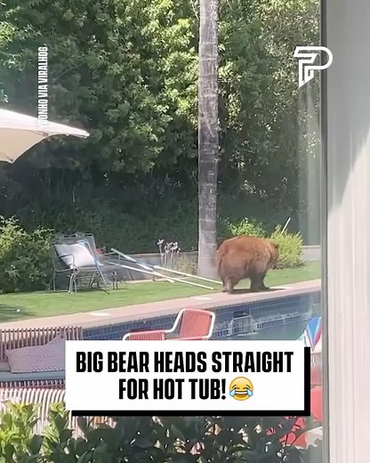 61K views · 1.5K reactions | This bear knows what's good ‍ | Pubity | Facebook