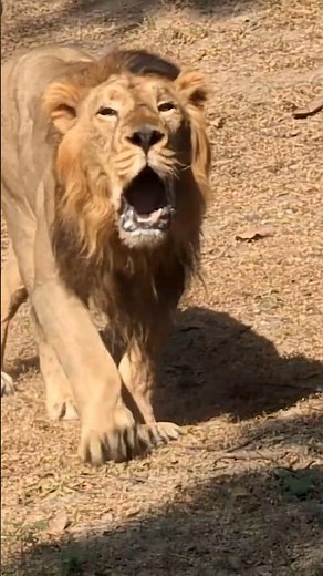 DELHI ZOO FULL TOUR | National Zoological Park