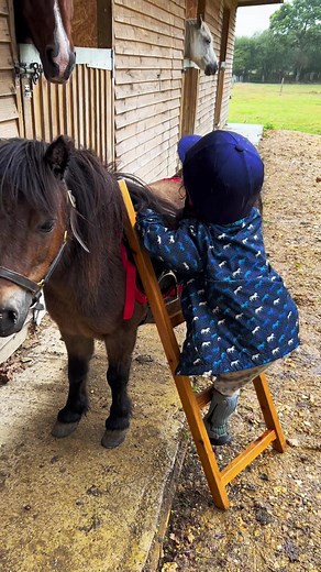 We all need a little leg up from time to time #toddler #poniesoftiktok #shetlandpony #horsetok #childrenriding #horseymum #equestrian