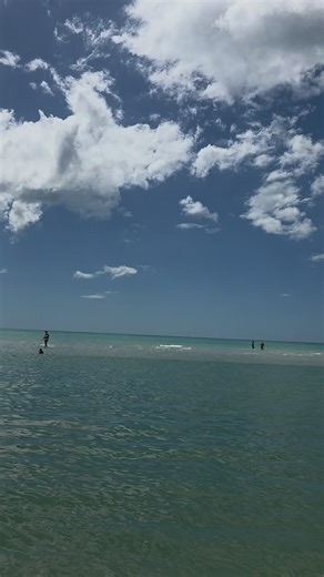 Experience Paradise in Florida: A Beautiful Beach Life