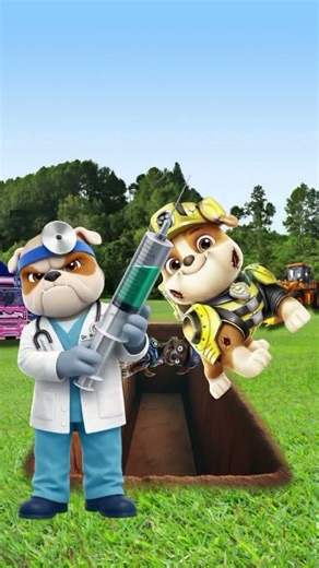 PawPatrol Dokter Melawan PawPatrol Anjing Zombie, orang kaya mati orang miskin mati#shorts