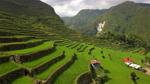 A Guide to the Philippine Rice Terraces