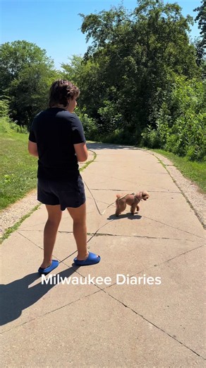 Savoring serenity on Milwauk's majestic shores! Soaking up the sun, sand, and memories on Michigan's stunning lake. Pure bliss! #MilwaukeeLakeLife #MichiganAdventures