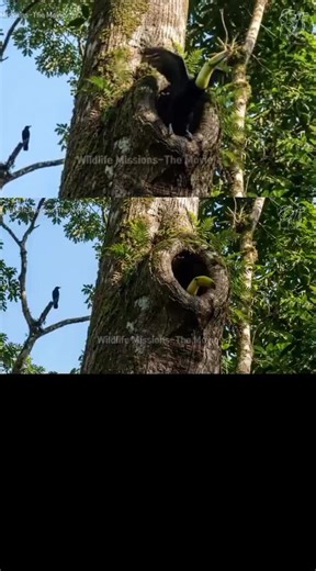 @꧁𒆜𝐁𝐚𝐛𝐚𝐘𝐞:gunners 𝟕🦋 @꧁𒆜𝐁𝐚𝐛𝐚𝐘𝐞:gunners 𝟕🦋 #fyppppppppppppppppppppppp