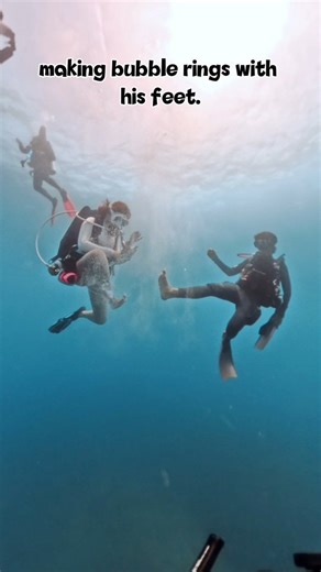Who said safety stop is boring when you’ve got free underwater comedy show 🎭💦 From “out-of-air drama” to “sidemount flexing session” to “bubble-ring foot art class” all in one stop. 🤿😂 #scubadiving #safetystop #funnydivers #underwaterlife #divinghumor #scubalife | Azzudin Abdul Aziz