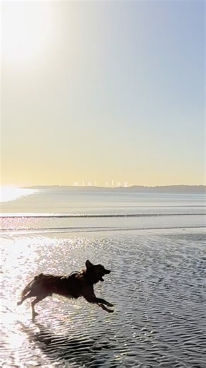 1.3K views | Lemon Tree Design on Reels | Facebook