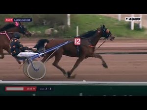 LE CHEVAL DU JOUR 03 FEVRIER 2018