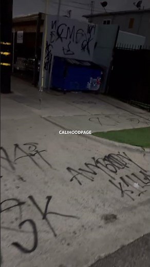 Crenshaw Mafia Gangster Bloods