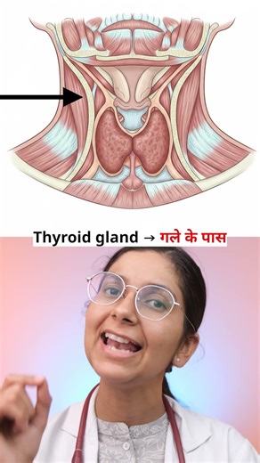 What is Hypothyroidism? Dr Richa Tiwari
