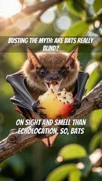 Busting the Myth: Are Bats Really Blind?