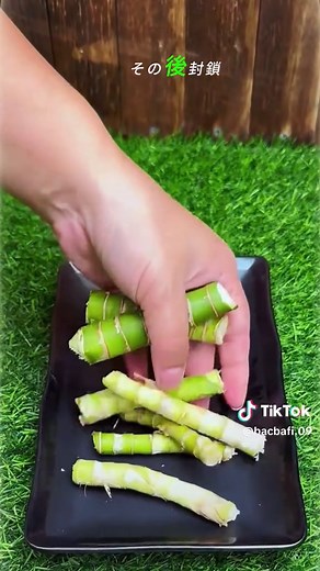 ミリオンバンブーの挿し木で簡単増殖