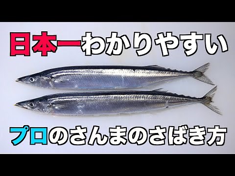 How to prepare a Pacific saury (sanma) in an easy-to-understand way