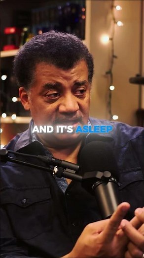 Schrödinger's cat explained by Sean Carroll. #neildegrassetyson