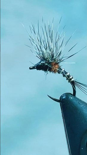 ‪@FlyFishFood‬ Cheech’s SUS! #flytying #fishing #flyfishing