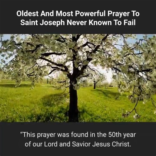 11K views · 371 reactions | This Is The Oldest & Most Powerful Prayer To St Joseph | Proudly Catholic | Facebook