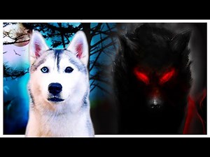 Spooky Ghost Story Freaks Out My Husky! (I can’t believe her reaction!)