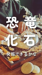きみもおうちで化石発掘🦖 『学研の科学 恐竜化石発掘キット』 コツコツコツ… ハンマーとたがねで 石こうブロックを掘り進め、 ブラシてサッサッと ていねいにクリーニング。 『学研の科学 恐竜化石発掘キット』は、 国立科学博物館に展示されている トリケラトプスの化石「レイモンド」の 発掘を体験するために生まれたキットです。 ほぼ完全な全身骨格を残している 「奇跡の化石」レイモンドを 48分の1スケールで忠実に再現。 じっくり、時間をかけて掘り出したら、 心ゆくまで観察したり、 国立科学博物館の 本物のレイモンドに会いに行ったり どんどん興味と学びが深まります。 対象は６歳から大人まで、 恐竜好きな方ならどなたでも お楽しみいただけます。 夢の恐竜学者になった気分で レイモンドを発掘してみませんか🔨 全国の書店・ネット書店で好評発売中🦖 恐竜好きなお子さんや、大人の方への クリスマスプレゼントにもおすすめです！ #学研の科学 #学研 #Gakken #学研の科学恐竜化石発掘キット #恐竜 #化石 #恐竜化石 #化石発掘 #恐竜骨格 #恐竜化石発掘 #トリケラトプス #レイモンド #国